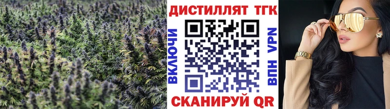 Дистиллят ТГК Wax  купить   Бавлы 