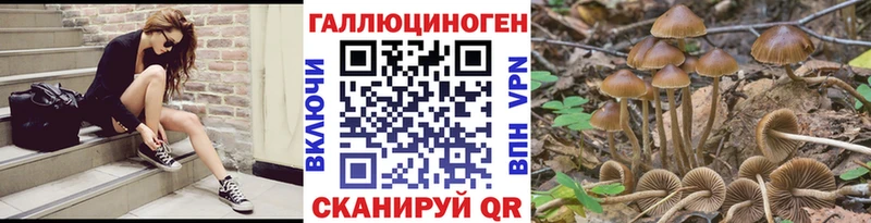 блэк спрут ONION  Бавлы  Галлюциногенные грибы мухоморы 